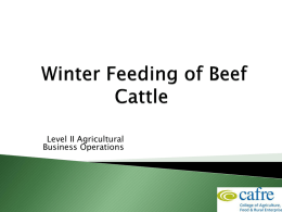 Beef Production Week 4 Winter Feeding of Beef Cattle II 6.98