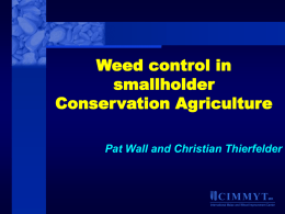 Weed control in smallholder conservation agriculture