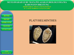 platyhelmintes - Biologi SMA 1 TP`s Blog