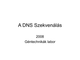 A DNS Szekvenálás_2008_MarosGergely