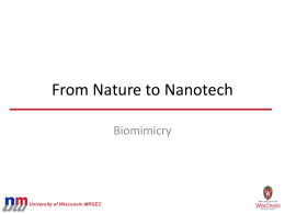 Biomimicry Flipbook