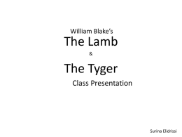 William blake Lamb