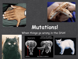 Mutations - Miss Garry`s Biology Class Website!