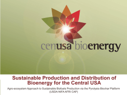 Sustainable Production and Distribution of Bioenergy for the Central