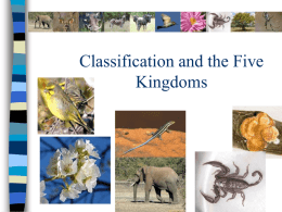 Classification and the Six Kingdoms