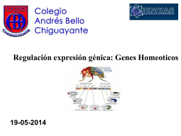 Regulación expresión génica