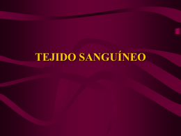 TEJIDO SANGUINEO - Tele Medicina de Tampico
