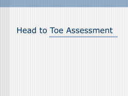 Head to Toe Assessment Powerpoint