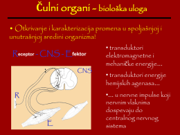 Čulni organi