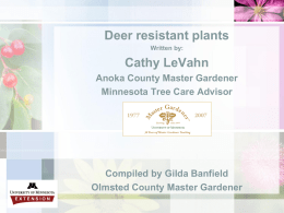 Deer resistant plants - University of Minnesota Extension