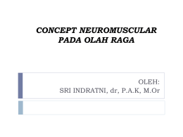 concept-neuromuscula..