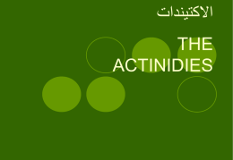 الاكتيندات THE ACTINIDIES