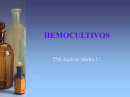 hemocultivos