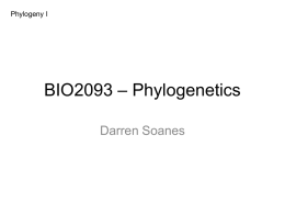 BIO2093_DMS1_phylogeny