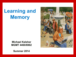 Learning & Memory - Michael Kalsher Home