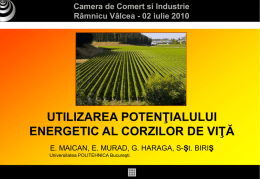 PowerPoint 프레젠테이션 - Camera de Comert si Industrie Valcea