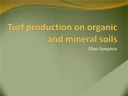 Sod production on peat and mineral soils
