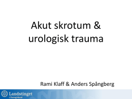 Urologiskt trauma (I)