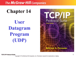 User Datagram Protocol (UDP)
