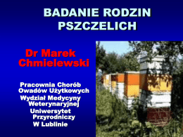 Badanie rodzin pszczelich - Uniwersytet Przyrodniczy w Lublinie