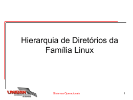 Estrutura de Diretórios LinuxBruno - Turma 3B