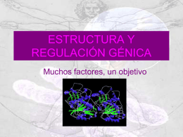Estructura y regulación génica1