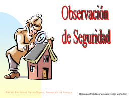 Observaciones de Seguridad- P. Fernandez- PW