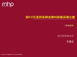 当VIE引发的各种法律纠纷被诉诸公堂