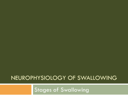 I. Neurophysiology of Swallowing