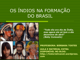 formação sócio-cultural do brasil – índios