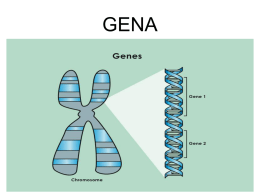 Gena are trei caracteristici de bază