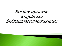 ROSLINY_UPRAWNE_(2.0)