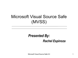 Microsoft Visual Source Safe