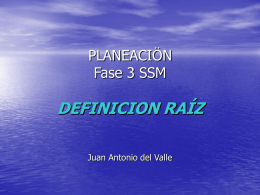 Fase 3 SSM DEFINICION RAÍZ Juan Antonio del Valle