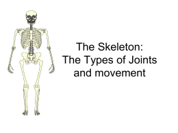 Joints-Movement-Powerpoint