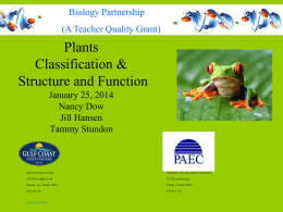 Plants Power Point - Panhandle Area Educational Consortium