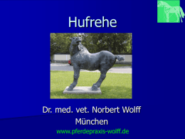 Hufrehe - Dr. Norbert Wolff