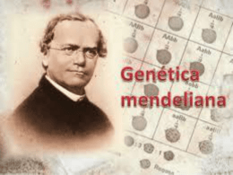 genetica mendeliana