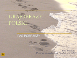 Pas_pobrzezy - WordPress.com