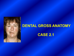 DENTAL GROSS ANATOMY CASE 2.1 History A 36yo woman slept