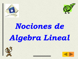 07 Nociones de Algebra Lineal