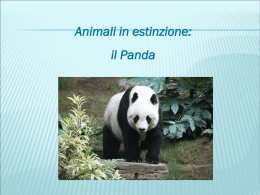 il Panda - Scuola Media di Piancavallo