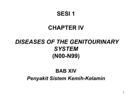 CHAPTER XIV (N00-N99) Diseases Of The Genitourinary System