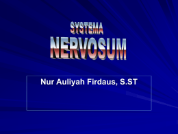 11. neuro - Nur Auliyah Firdaus, S.ST