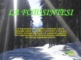 + 6 H 2 O - Editrice La Scuola