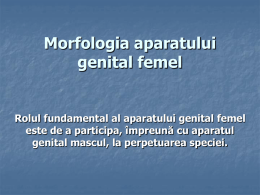 Morfologia aparatului genital femel