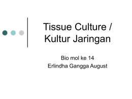 14 Tissue Culture