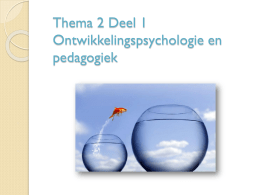 Workshop 1 Ontwikkelingspsychologie