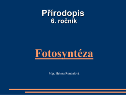 Pr6_fotosynteza