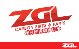 ZGL碳纤维自行车介绍（ PPT文档）2013-07